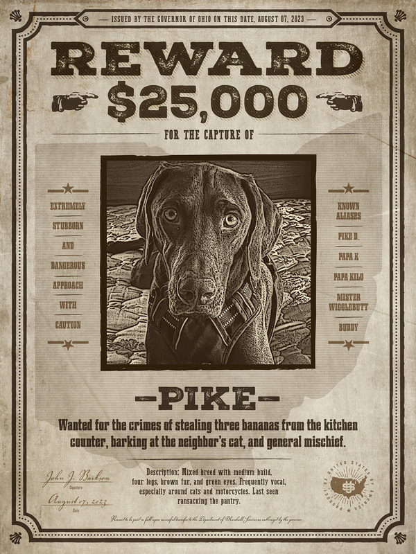 Custom Wanted Pet Poster