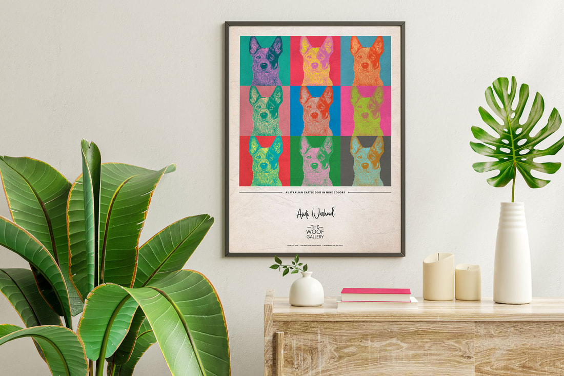 Australian Cattle Dog Color Pops print on display in a lovely, contemporary room.
